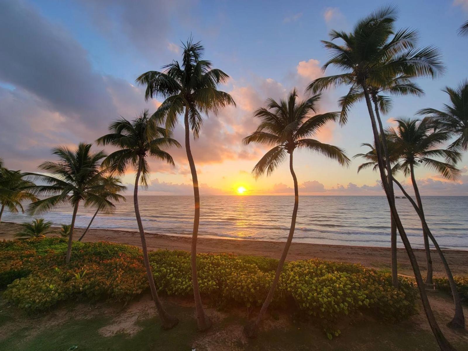 Bv103 - Amazing Oceanfront Condo Steps From Beach Humacao Exterior photo